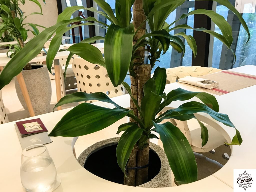 Qatar airways lounge Bangkok