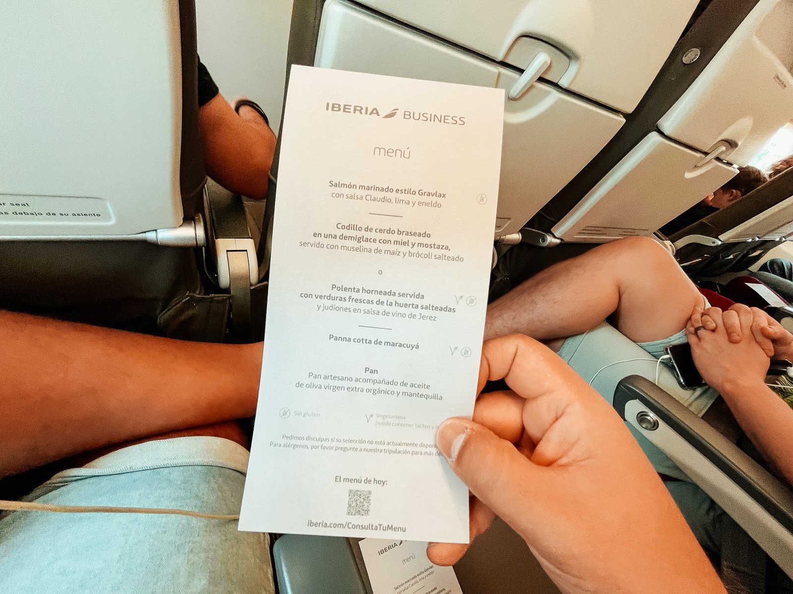 Iberia Menu in Spanish