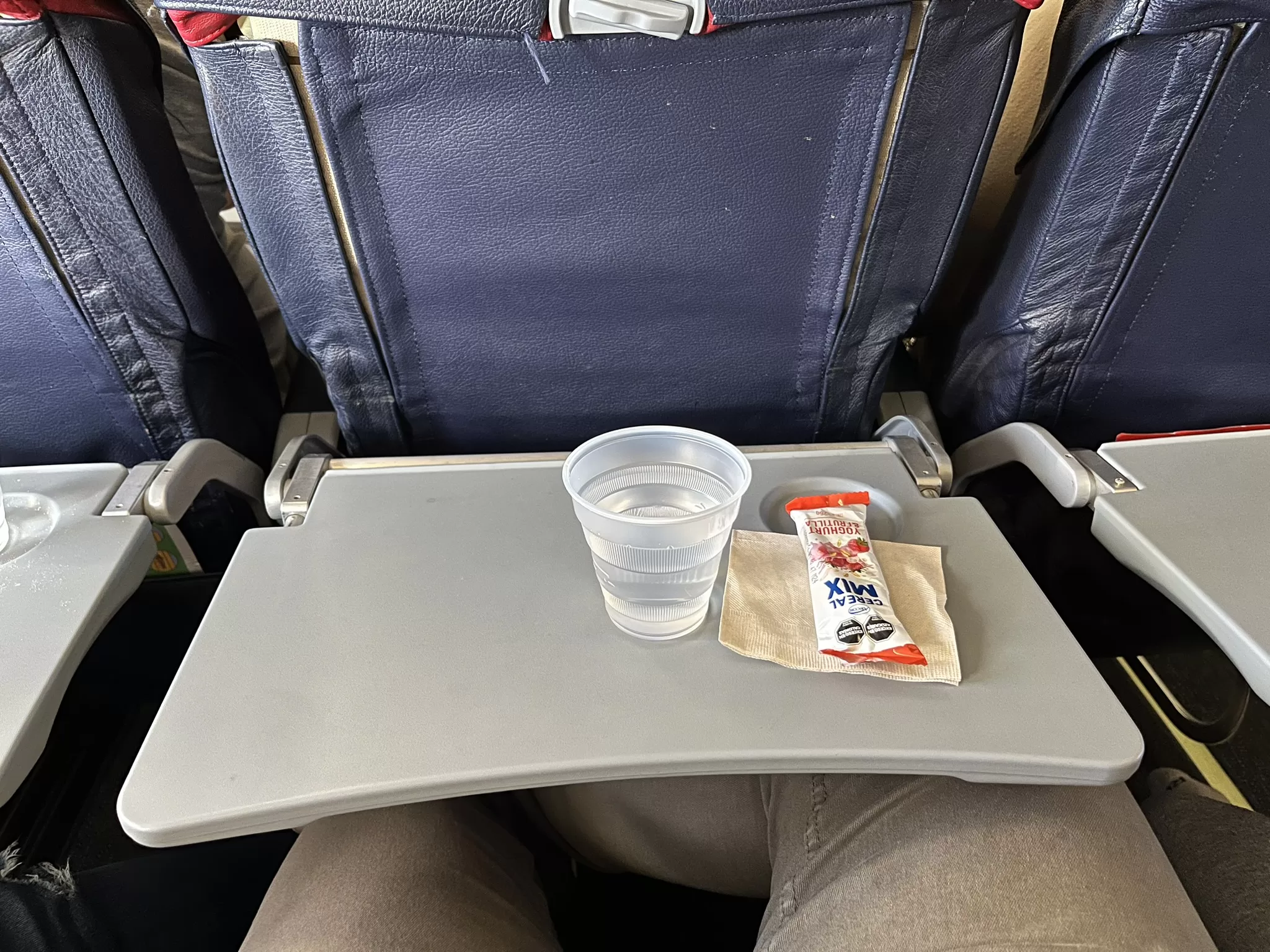 Aerolineas Argentinas 737 Food and Drinks