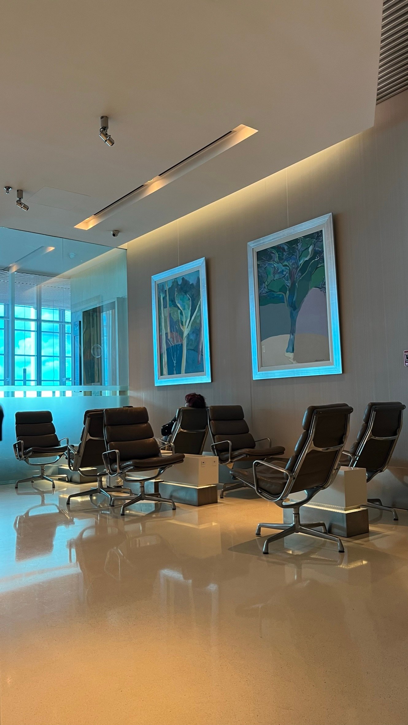 Iberia Lounge Buenos Aires Ezeiza