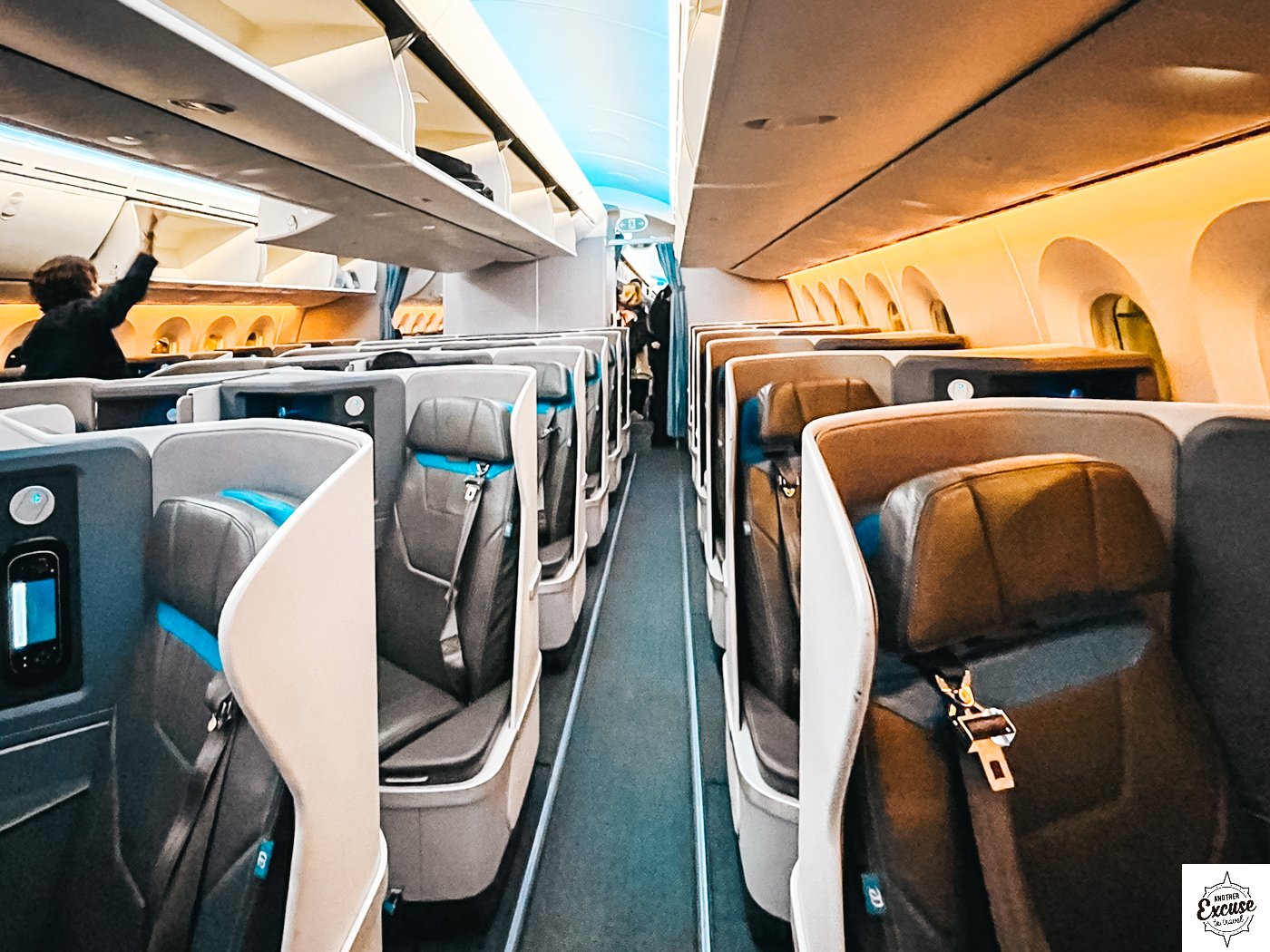 787-9 business cabin